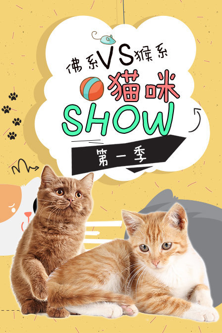 佛系vs猴系猫咪show第一季