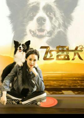 飞盘犬 2020