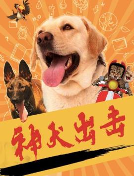 神犬出击